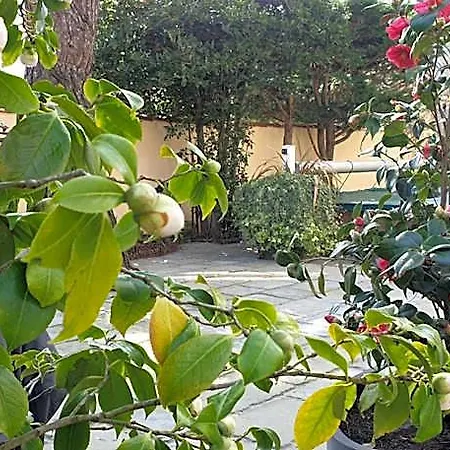 D'hotes Le Clos Bleu Oda ve Kahvaltı